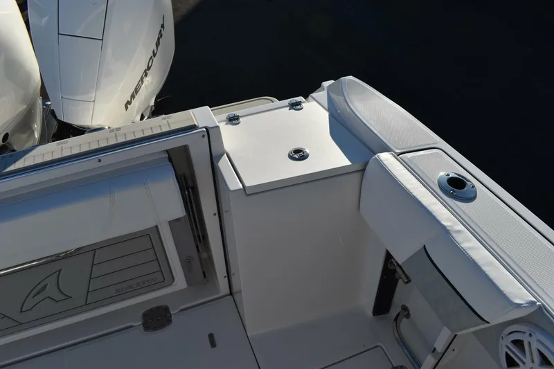 Slide: The Image of Blackfin 252 DC 2024 - 5087763