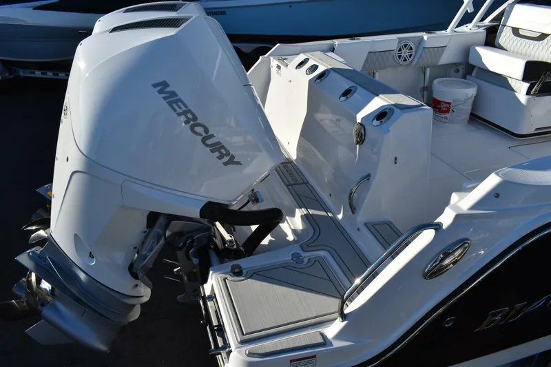 Slide: The Image of Blackfin 252 DC 2024 - 5087756