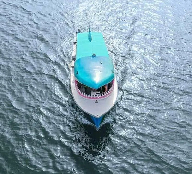 Slide: The Image of Willard Custom 30 passenger COI 1986 - 5090046