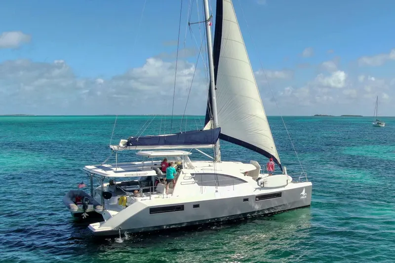 The Image of Leopard 48 2015 - 5096492