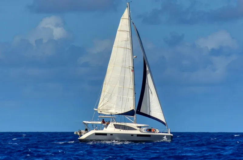 Slide: The Image of Leopard 48 2015 - 5096489