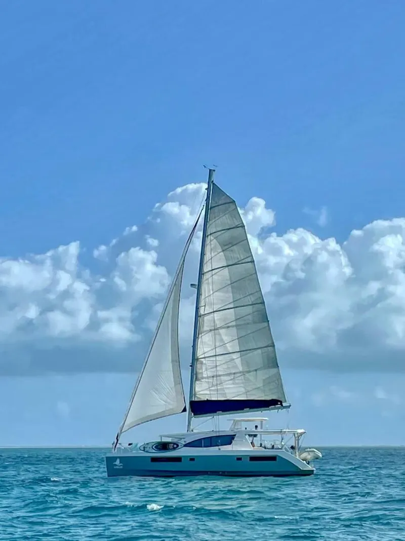 Slide: The Image of Leopard 48 2015 - 5096490