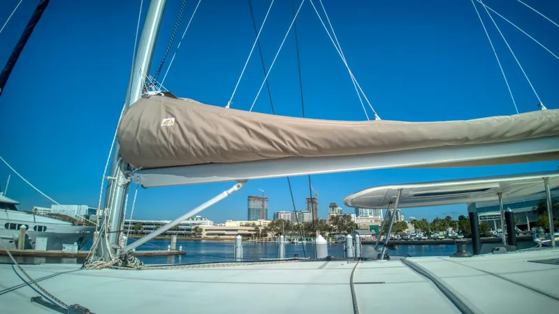 Slide: The Image of Leopard 48 2015 - 5090850