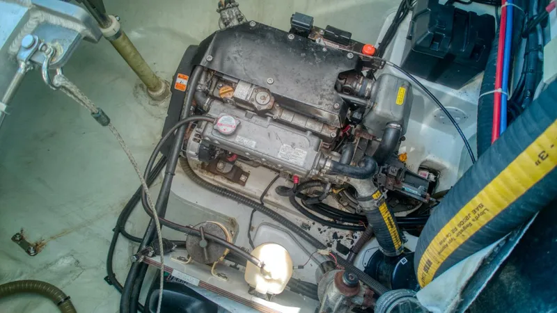 Slide: The Image of Leopard 48 2015 - 5090861