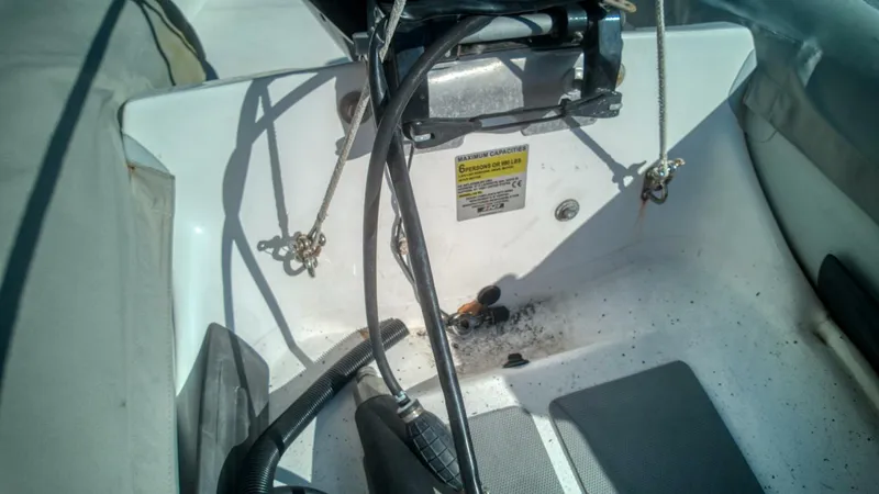 Slide: The Image of Leopard 48 2015 - 5090867