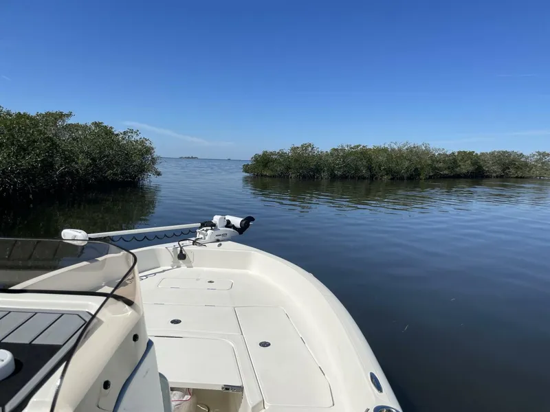 Slide: The Image of Skeeter SX2550 2022 - 5091633