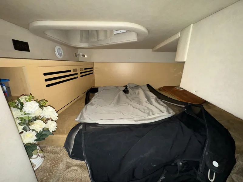 Slide: The Image of Sea Ray 280 Sundancer 2010 - 5098319