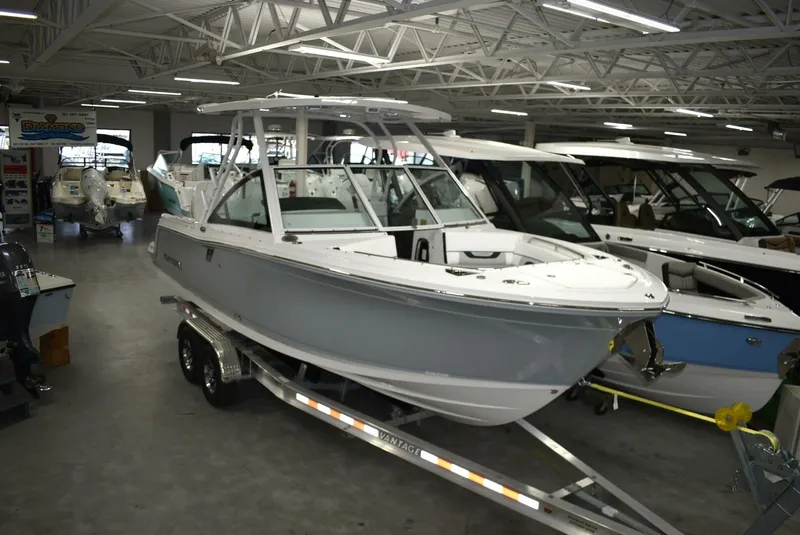 Slide: The Image of Blackfin 252 DC 2025 - 5103052