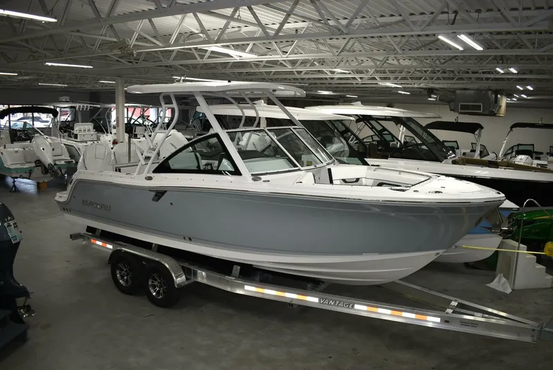 Slide: The Image of Blackfin 252 DC 2025 - 5103053