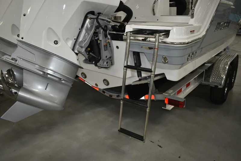 Slide: The Image of Blackfin 252 DC 2025 - 5103072