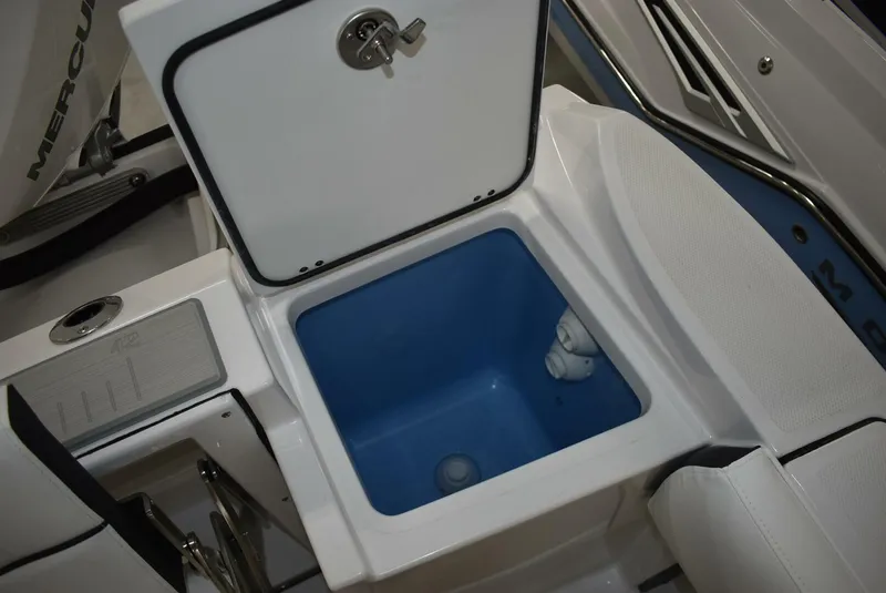 Slide: The Image of Blackfin 252 DC 2025 - 5103078