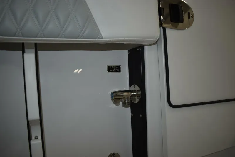 Slide: The Image of Blackfin 252 DC 2025 - 5103080