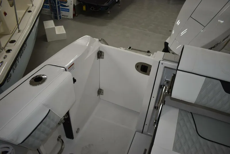 Slide: The Image of Blackfin 252 DC 2025 - 5103081