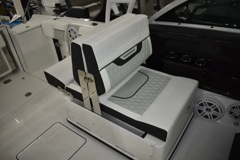 Slide: The Image of Blackfin 252 DC 2025 - 5103087