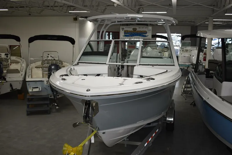 Slide: The Image of Blackfin 252 DC 2025 - 5103055