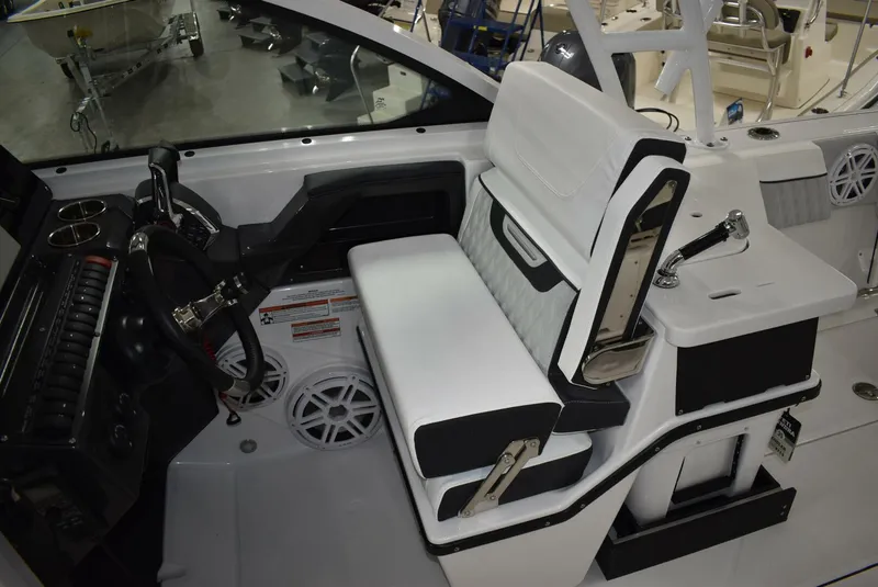 Slide: The Image of Blackfin 252 DC 2025 - 5103099