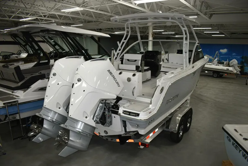 Slide: The Image of Blackfin 252 DC 2025 - 5103056