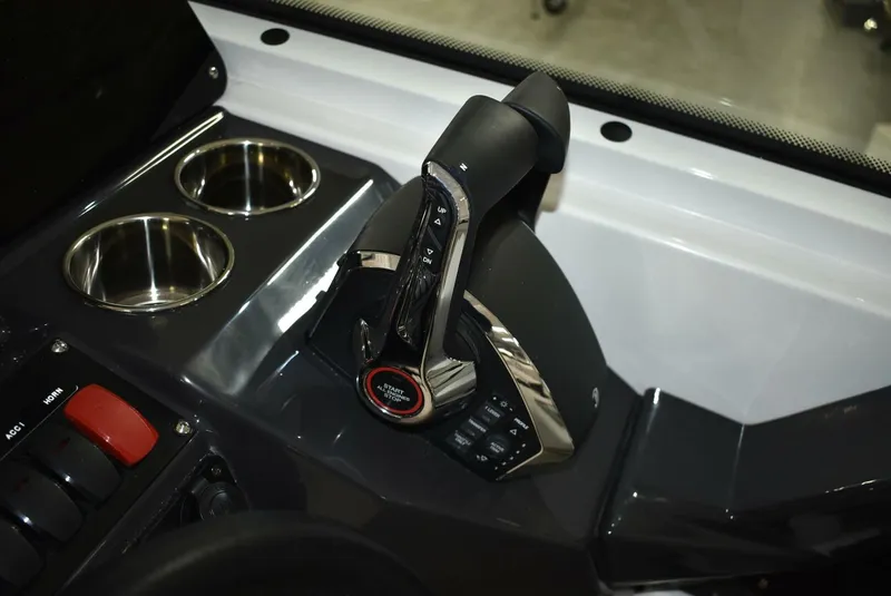 Slide: The Image of Blackfin 252 DC 2025 - 5103108