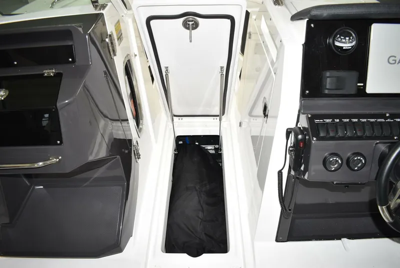 Slide: The Image of Blackfin 252 DC 2025 - 5103112