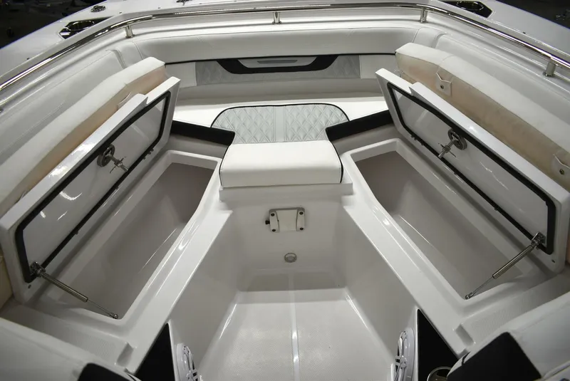 Slide: The Image of Blackfin 252 DC 2025 - 5103119