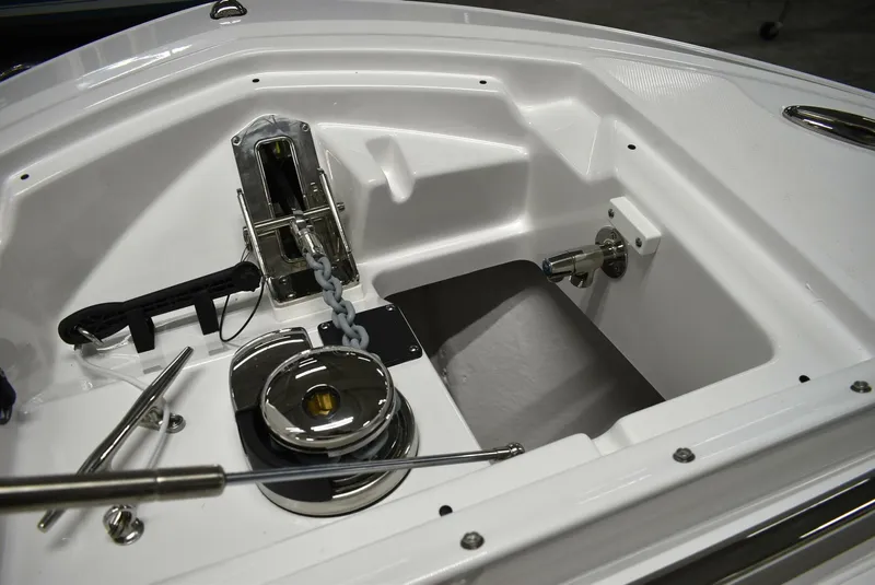 Slide: The Image of Blackfin 252 DC 2025 - 5103122