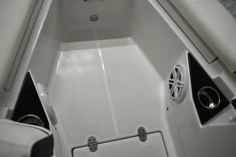 Slide: The Image of Blackfin 252 DC 2025 - 5103124