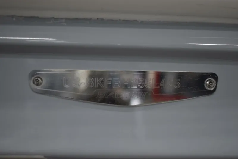 Slide: The Image of Blackfin 252 DC 2025 - 5103132