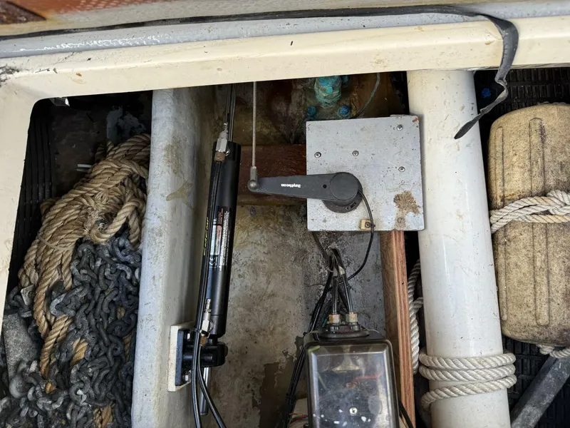 Slide: The Image of Dyer 29 1978 - 5105766