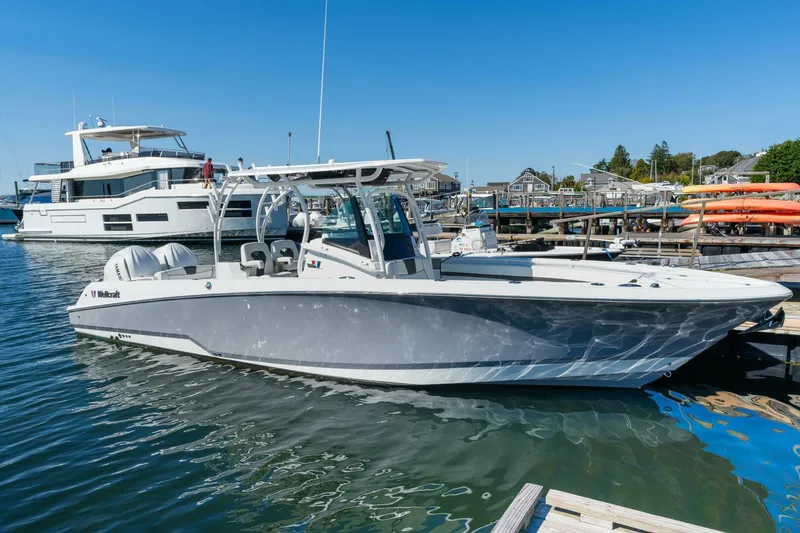 The Image of Wellcraft 302 2024 - 5109281