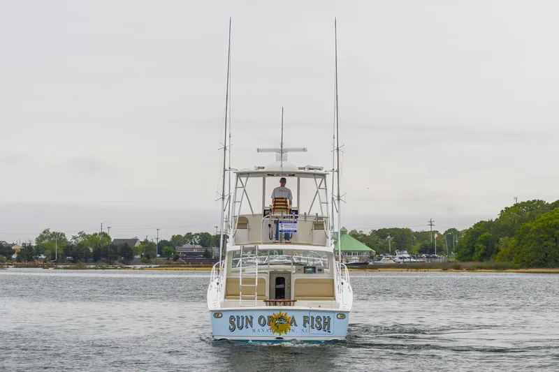 Slide: The Image of Viking Billfish 2019 - 5330304