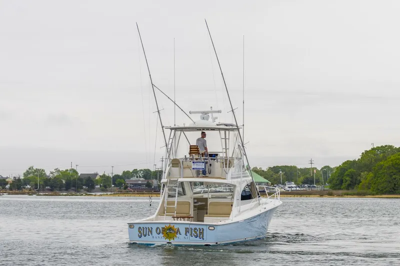 Slide: The Image of Viking Billfish 2019 - 5330305