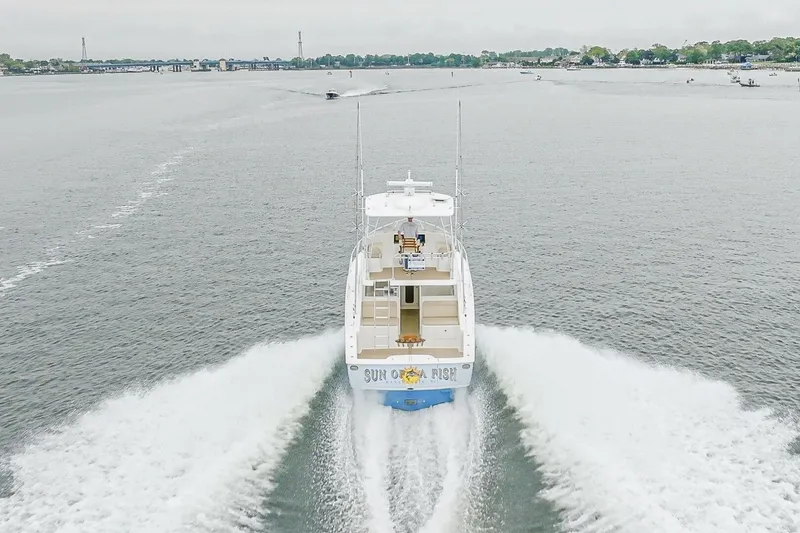 Slide: The Image of Viking Billfish 2019 - 5330316