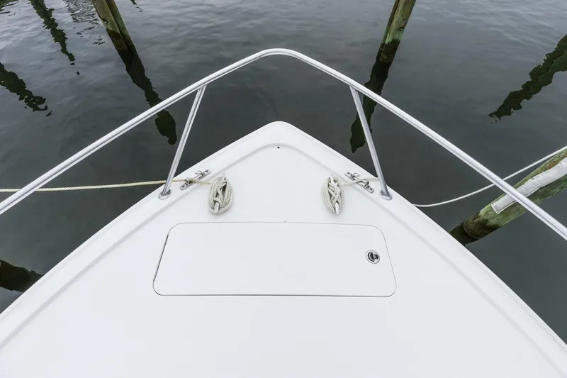 Slide: The Image of Viking Billfish 2019 - 5330294