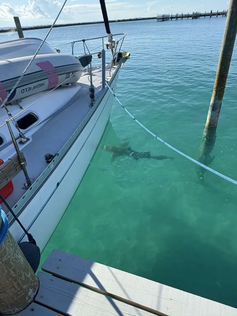 Slide: The Image of Catalina 400 MKII 2001 - 5492899