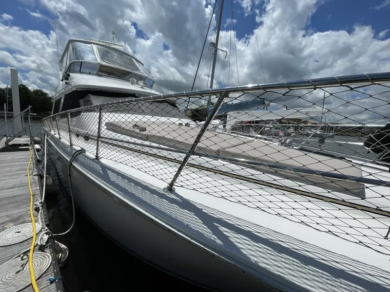 Slide: The Image of Sea Ray 550 Sedan Bridge 1995 - 5113288