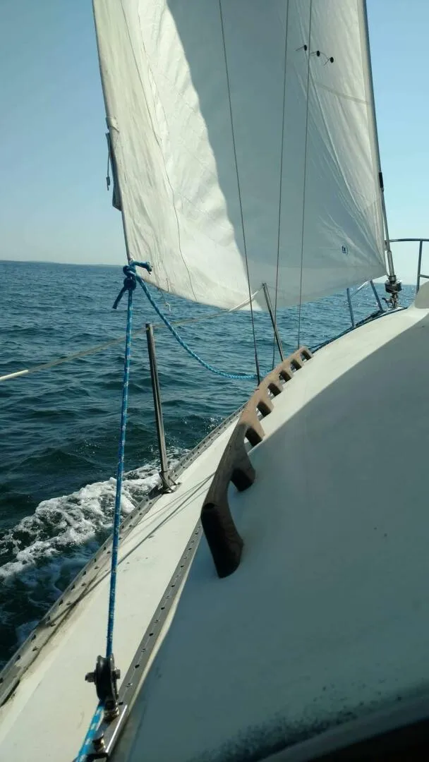 Slide: The Image of Sails set, gentle reach - 5116633