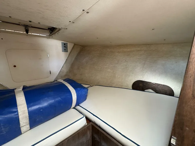 Slide: The Image of Bertram 31 1977 - 5286692