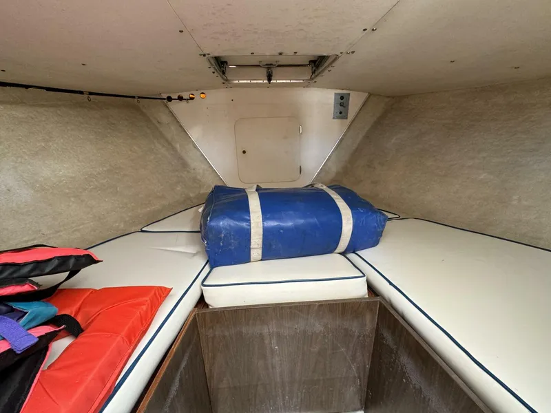 Slide: The Image of Bertram 31 1977 - 5286694