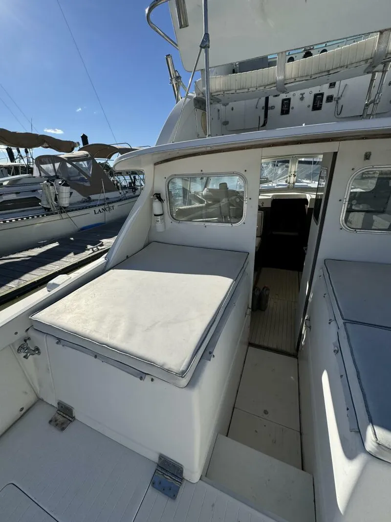 Slide: The Image of Bertram 31 1977 - 5286697