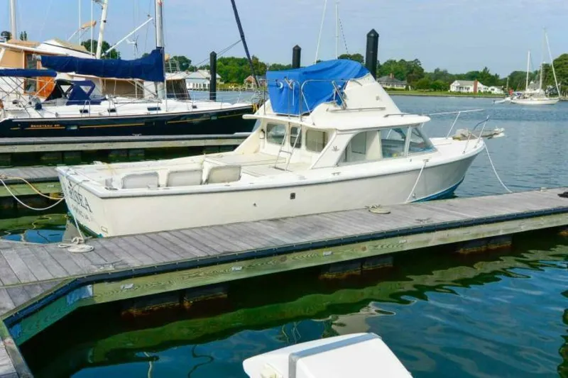 Slide: The Image of Bertram 31 1977 - 5123558