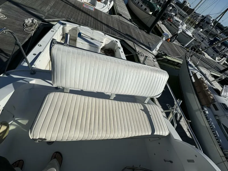 Slide: The Image of Bertram 31 1977 - 5286701