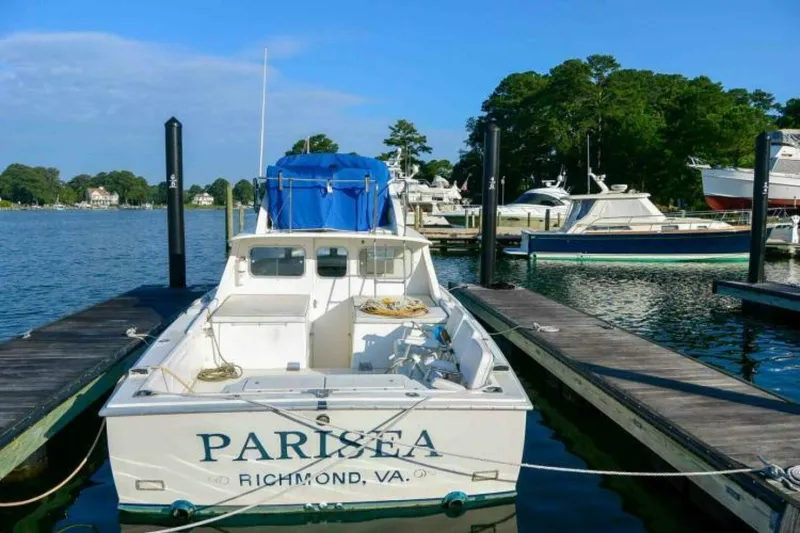 Slide: The Image of Bertram 31 1977 - 5123557