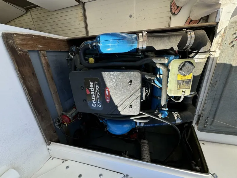 Slide: The Image of Bertram 31 1977 - 5286730