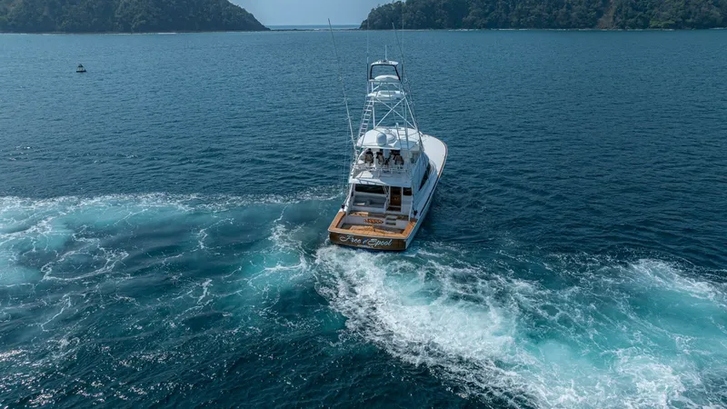 Slide: The Image of 2023 Viking 73 Convertible "Free Spool" - 6428359