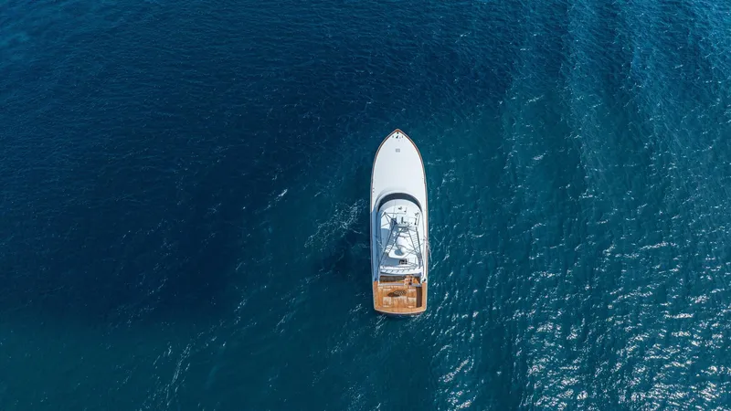 Slide: The Image of 2023 Viking 73 Convertible "Free Spool" - 5129503