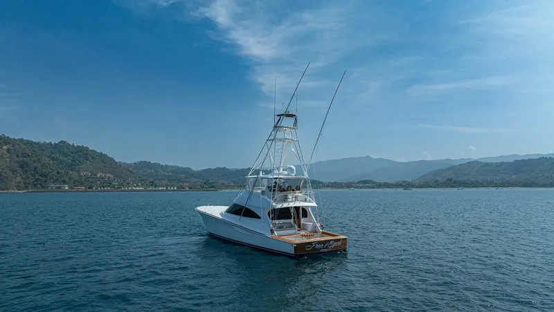 Slide: The Image of 2023 Viking 73 Convertible "Free Spool" - 6428371