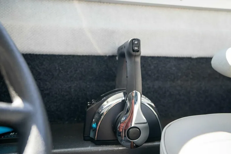 Slide: The Image of Kingfisher 28 2022 - 5124114