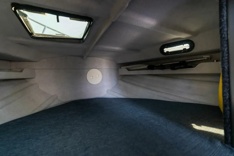 Slide: The Image of Kingfisher 28 2022 - 5124150