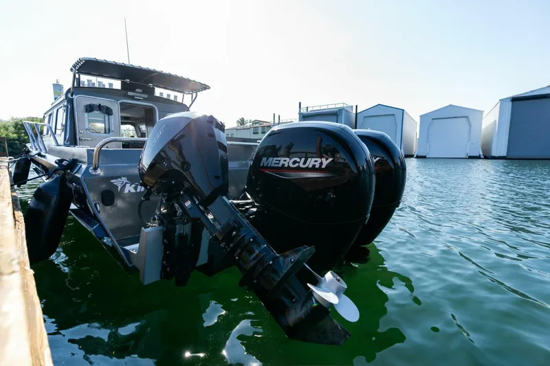 Slide: The Image of Kingfisher 28 2022 - 5124164