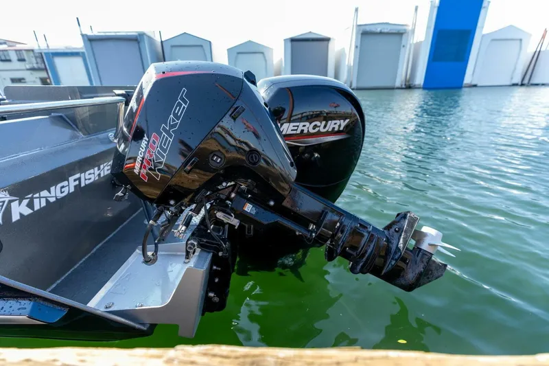 Slide: The Image of Kingfisher 28 2022 - 5124165